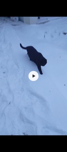 Гулять на улице