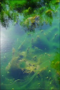 Солнце, воздух и вода