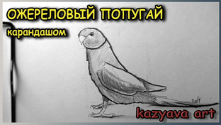 Рисуем птиц