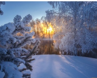 Носочки с Таней 2025