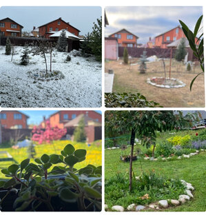 Год садовода