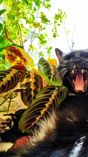 Жизнь удивительных цветов