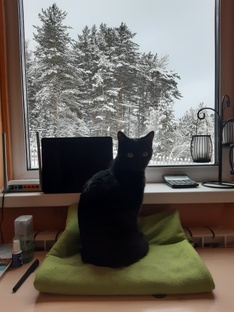 Уголок домоседа