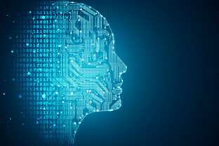 IT (информационные технологии)