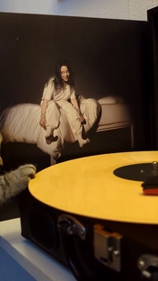 Виниловый английский