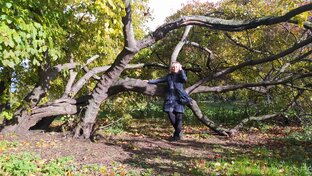 Канал"Ещё не вечер"