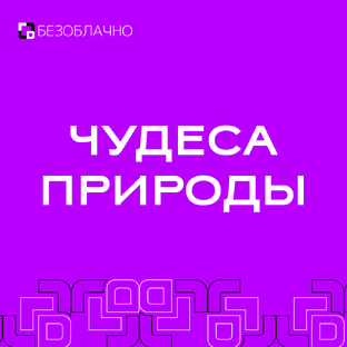 Чудеса природы