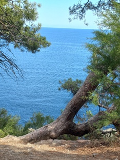 Черное море 