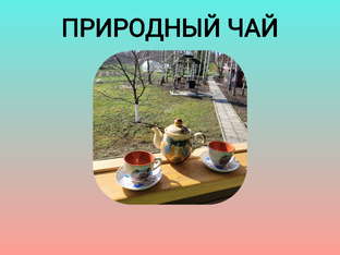 Природный чай