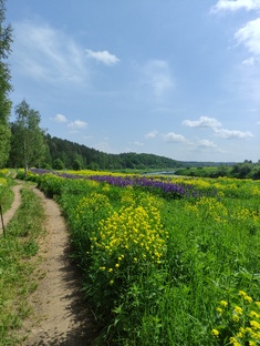 Пешие маршруты на выходные в Центральной России