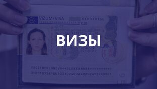 Визы 