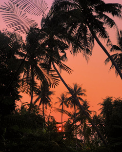 Путешествия