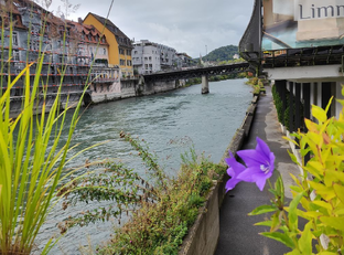 Подписка на жизнь