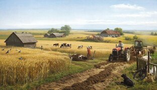 СЕЛЬСКОЕ ХОЗЯЙСТВО РЕГИОНА