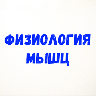 Физиология мышц