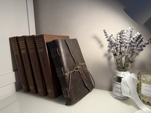 КНИЖНАЯ ПОЛКА