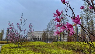 Парк Галицкого