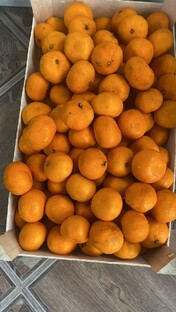 10 сек в Абхазии 