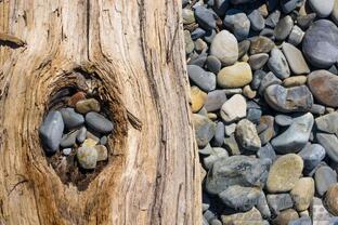 Гостевой дом Агойская долина