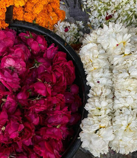 Целительные травы и магия ароматов 