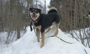 Берта - молодая красотка 