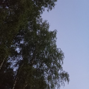 Колесо года.