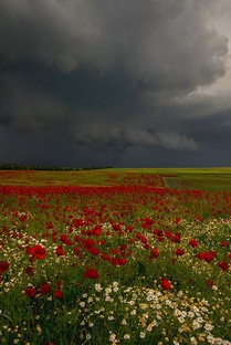 Красивые места