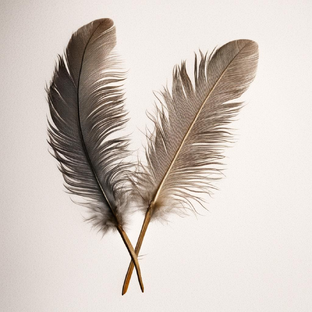 Послания дня.