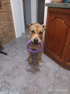 Заманивает в игру