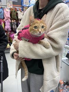 Заметки Василисы