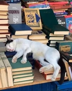 Начитался...