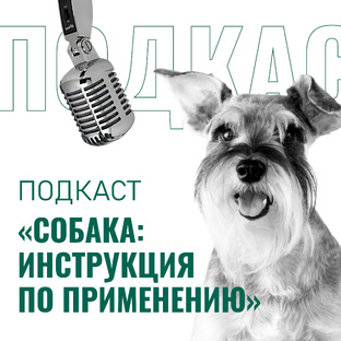 Подкаст РКФ