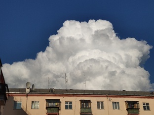 Кружочки