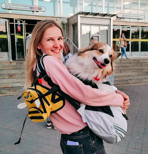 Питерская жизнь с Корги 🐕