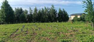 Фундамент Ж/Б