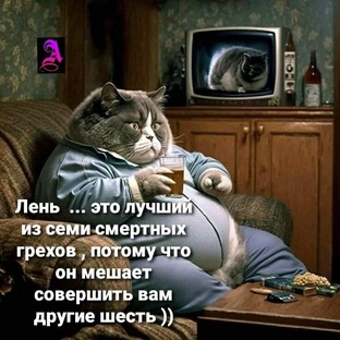 Наши любимые котики.