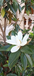 Природа