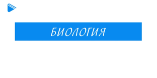 8 класс - Биология