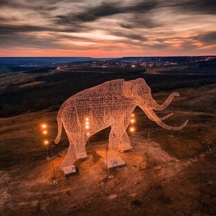 Ставрополь - родина слонов и замечательных людей)