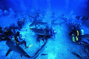 Мир живой природы