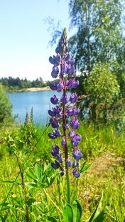 Счастье в мелочах