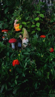 Садовые заметки: просто, честно, по-домашнему