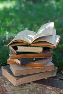 Образование 