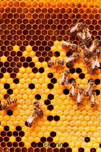 Чистки, отливки, помощь вашей душе