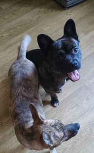 Интересное