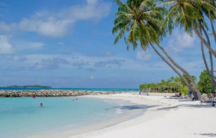 Дайвинг и снорклинг  на Маафуши. Мальдивы.