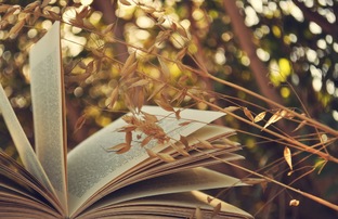 Стихотворения