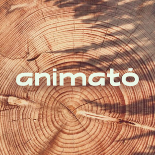 Детские площадки Animato