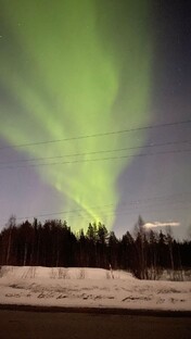 Психологические разборы