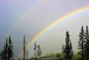 Музыка для сна😴